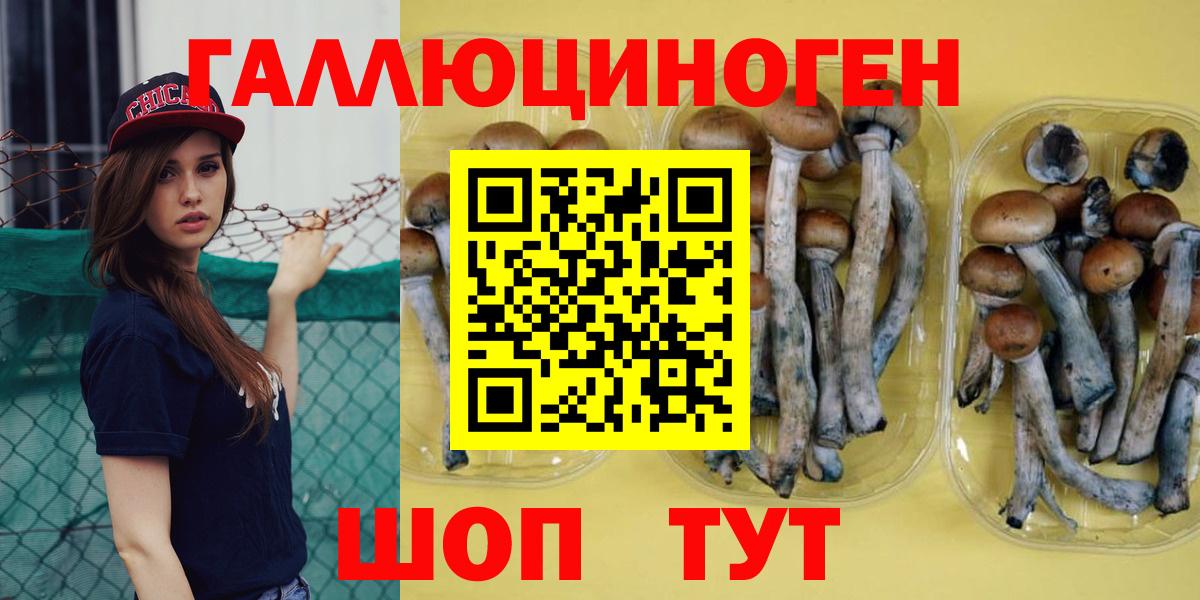 Псилоцибиновые грибы мухоморы  Вход с VPN  Дербент  Псилоцибиновые грибы Psilocybine cubensis 