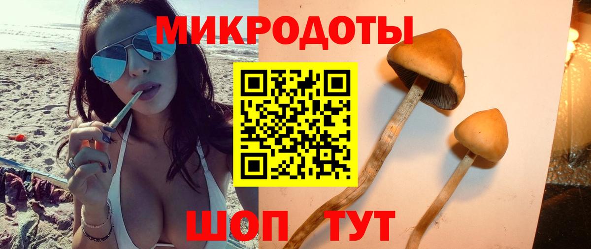 Галлюциногенные грибы мухоморы Дербент